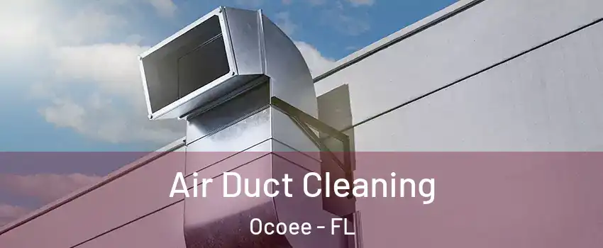  Air Duct Cleaning Ocoee - FL