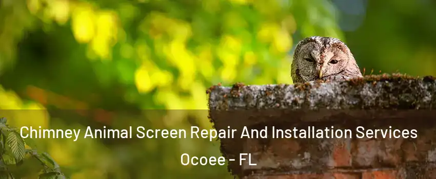  Chimney Animal Screen Repair And Installation Services Ocoee - FL