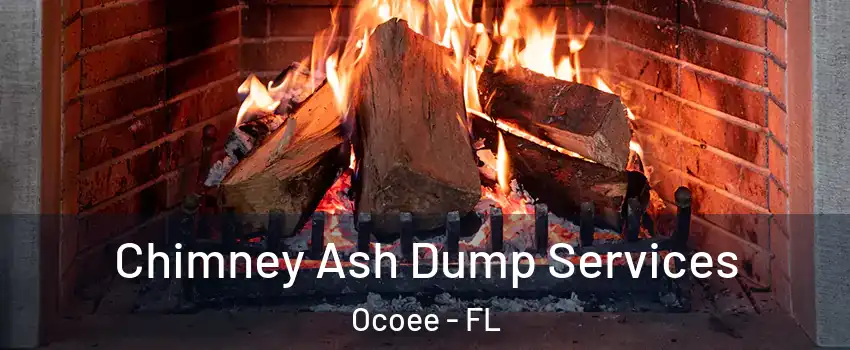  Chimney Ash Dump Services Ocoee - FL