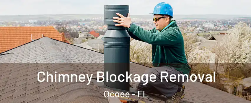  Chimney Blockage Removal Ocoee - FL