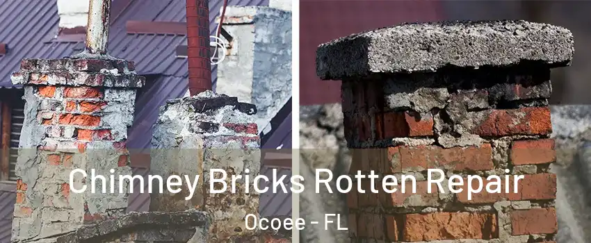  Chimney Bricks Rotten Repair Ocoee - FL
