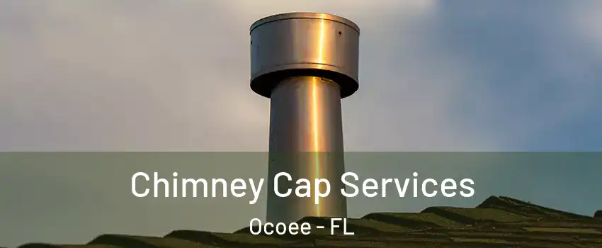  Chimney Cap Services Ocoee - FL