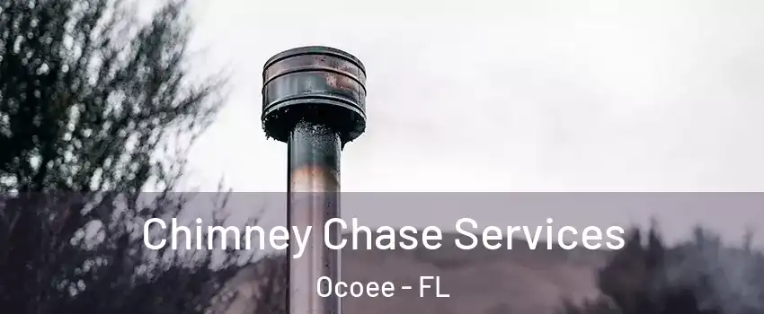  Chimney Chase Services Ocoee - FL