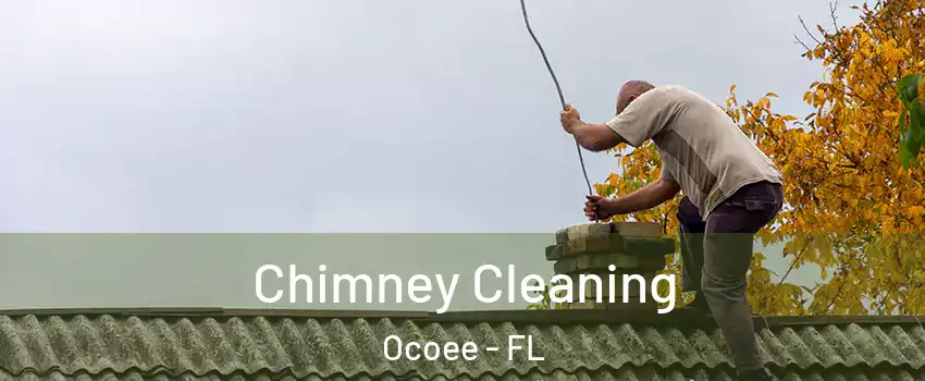  Chimney Cleaning Ocoee - FL