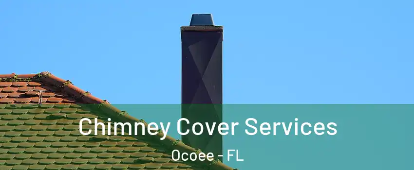  Chimney Cover Services Ocoee - FL