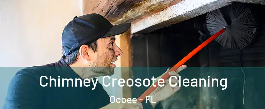  Chimney Creosote Cleaning Ocoee - FL