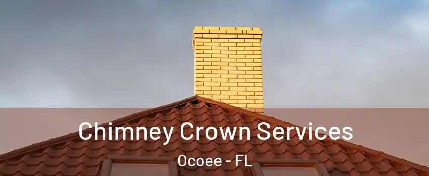 Chimney Crown Services Ocoee - FL