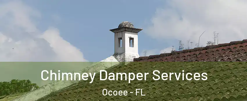  Chimney Damper Services Ocoee - FL
