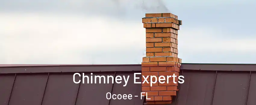  Chimney Experts Ocoee - FL