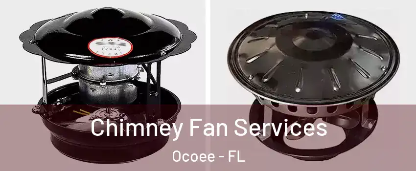  Chimney Fan Services Ocoee - FL
