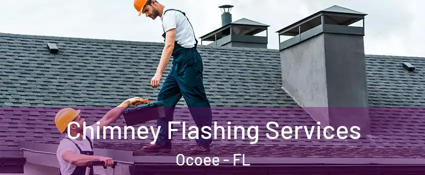 Chimney Flashing Services Ocoee - FL