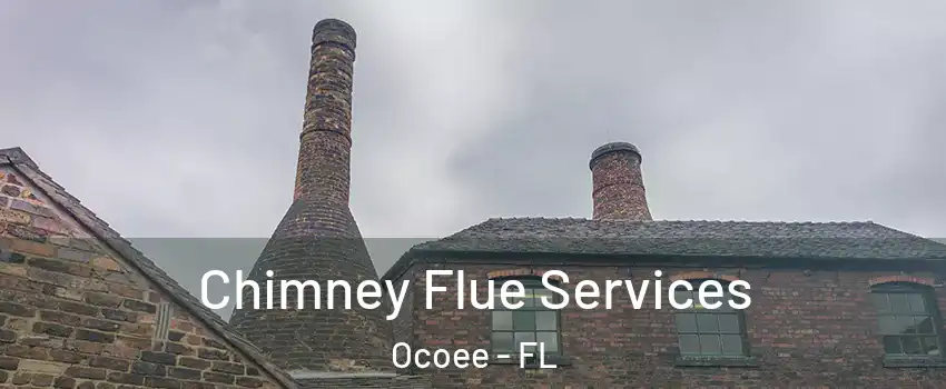  Chimney Flue Services Ocoee - FL