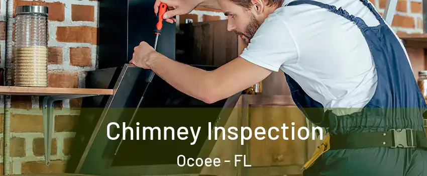  Chimney Inspection Ocoee - FL