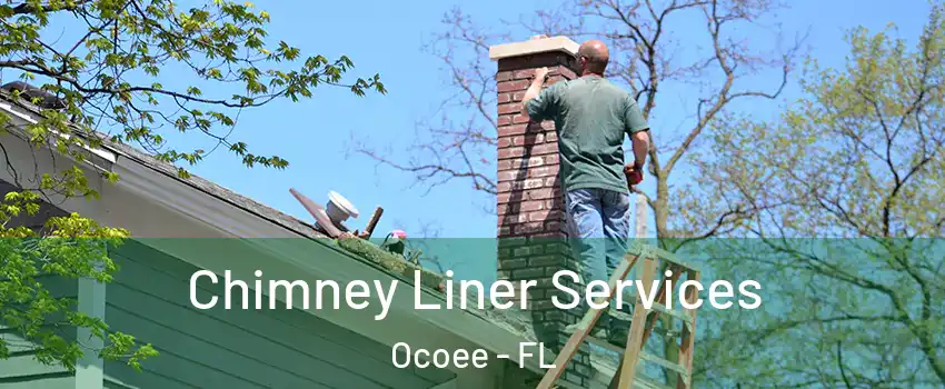  Chimney Liner Services Ocoee - FL