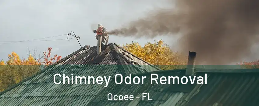  Chimney Odor Removal Ocoee - FL