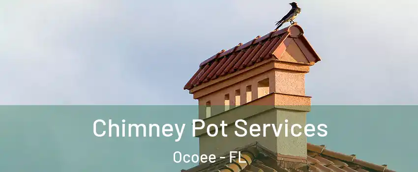  Chimney Pot Services Ocoee - FL