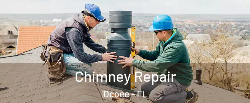  Chimney Repair Ocoee - FL