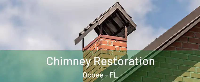 Chimney Restoration Ocoee - FL