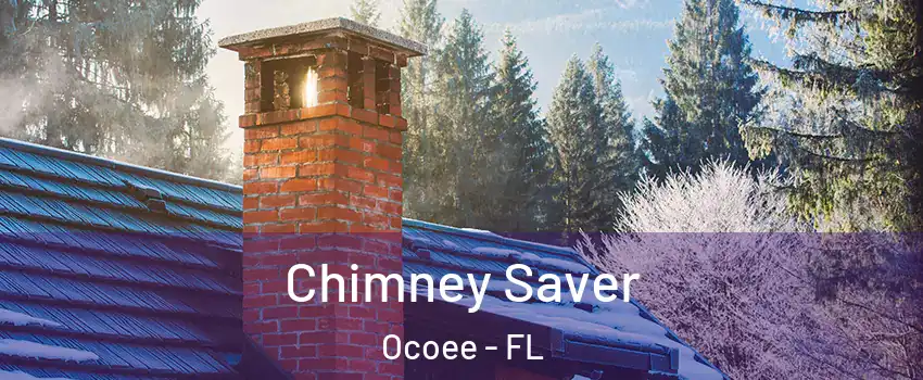  Chimney Saver Ocoee - FL