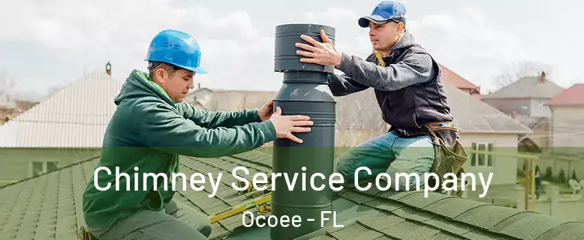  Chimney Service Company Ocoee - FL