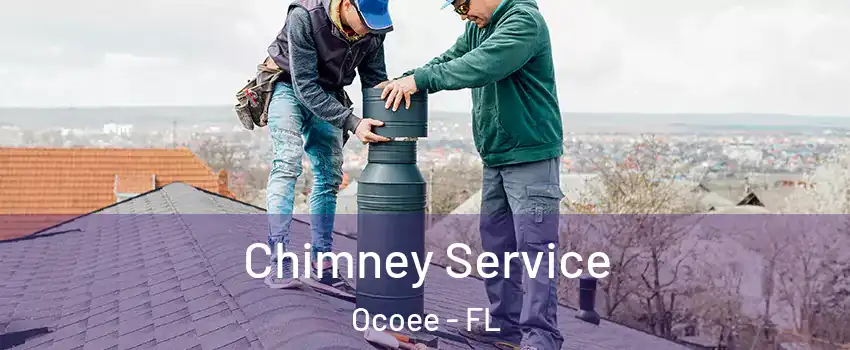  Chimney Service Ocoee - FL