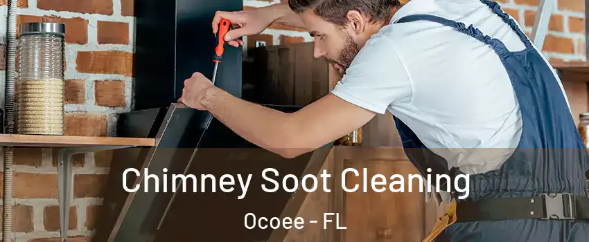  Chimney Soot Cleaning Ocoee - FL