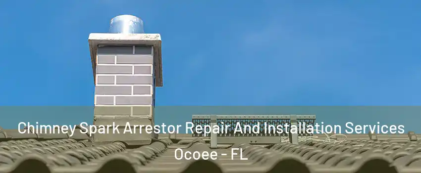  Chimney Spark Arrestor Repair And Installation Services Ocoee - FL
