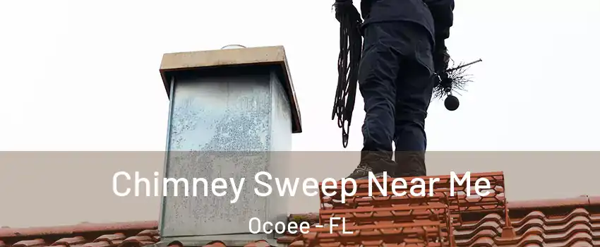 Chimney Sweep Near Me Ocoee - FL
