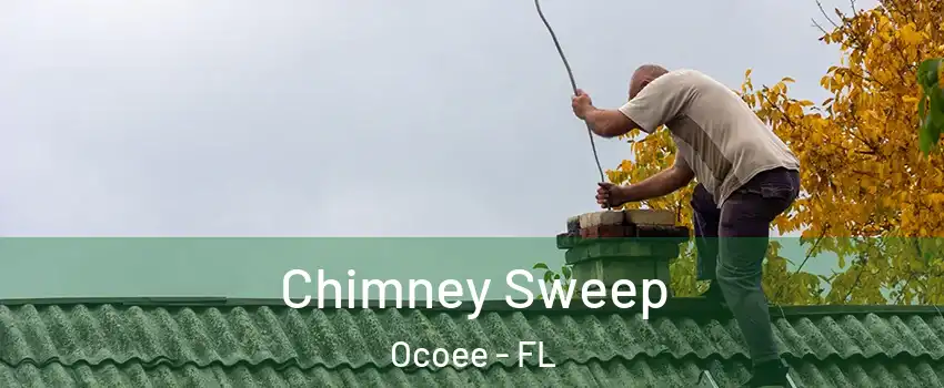  Chimney Sweep Ocoee - FL