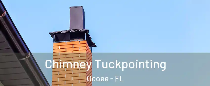  Chimney Tuckpointing Ocoee - FL