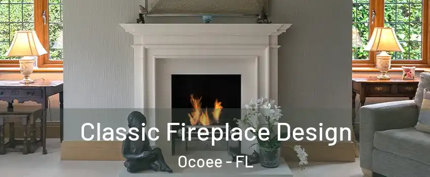  Classic Fireplace Design Ocoee - FL