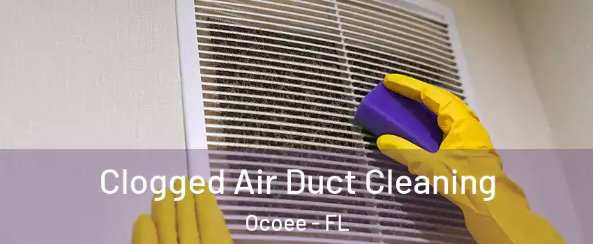  Clogged Air Duct Cleaning Ocoee - FL