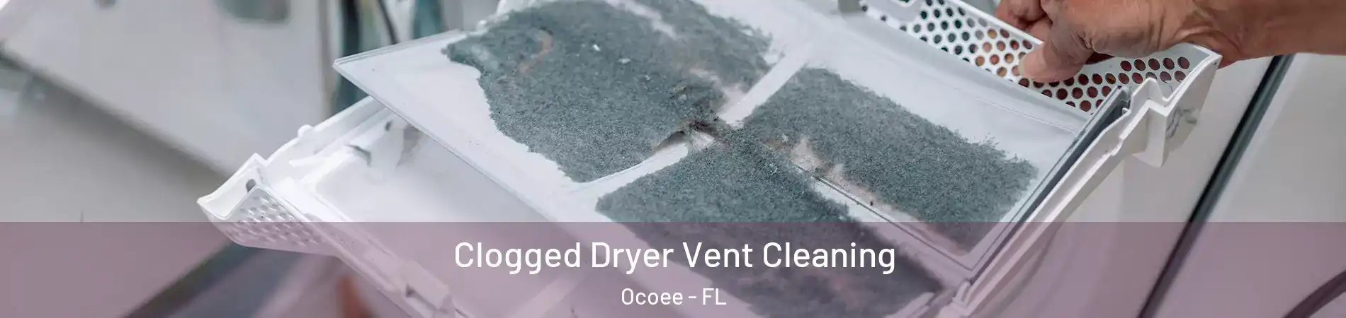  Clogged Dryer Vent Cleaning Ocoee - FL
