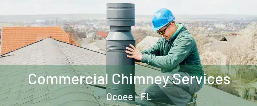  Commercial Chimney Services Ocoee - FL