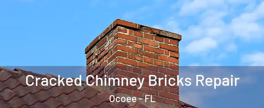  Cracked Chimney Bricks Repair Ocoee - FL