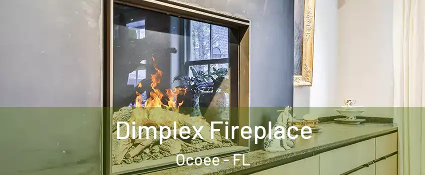  Dimplex Fireplace Ocoee - FL