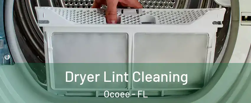  Dryer Lint Cleaning Ocoee - FL