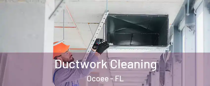  Ductwork Cleaning Ocoee - FL