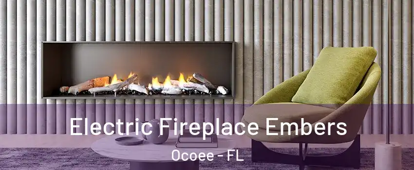  Electric Fireplace Embers Ocoee - FL
