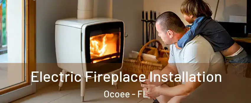  Electric Fireplace Installation Ocoee - FL