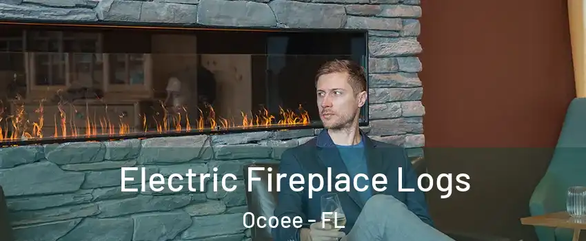  Electric Fireplace Logs Ocoee - FL