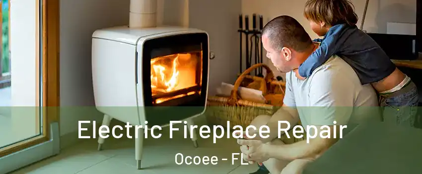  Electric Fireplace Repair Ocoee - FL