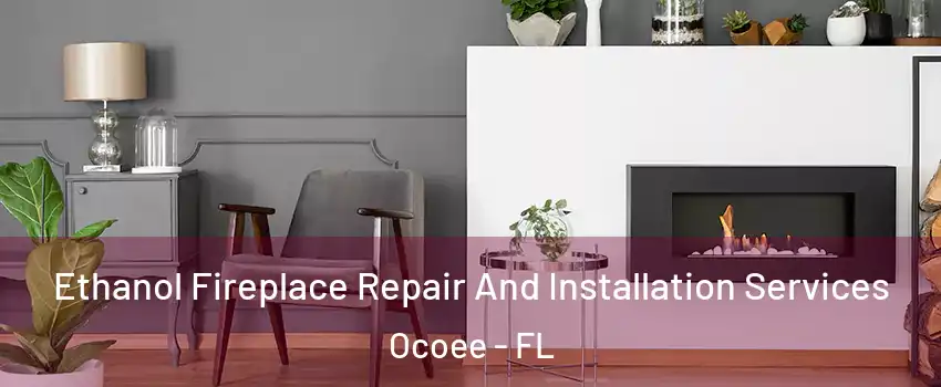  Ethanol Fireplace Repair And Installation Services Ocoee - FL
