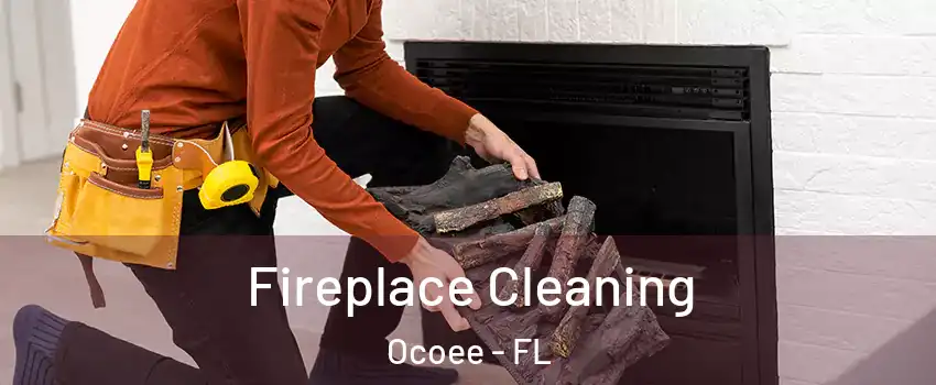  Fireplace Cleaning Ocoee - FL