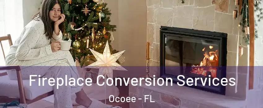  Fireplace Conversion Services Ocoee - FL