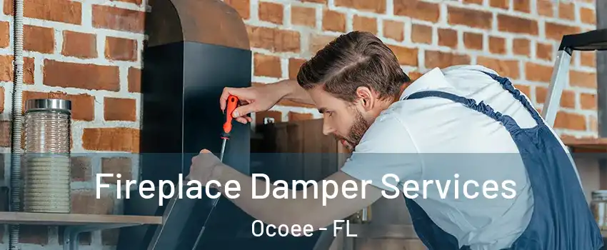  Fireplace Damper Services Ocoee - FL