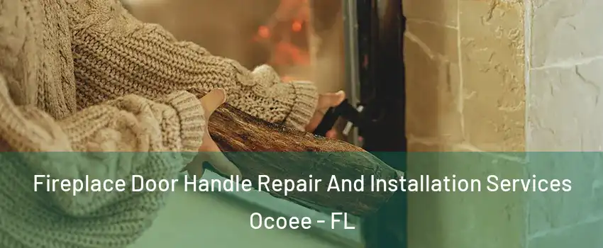  Fireplace Door Handle Repair And Installation Services Ocoee - FL