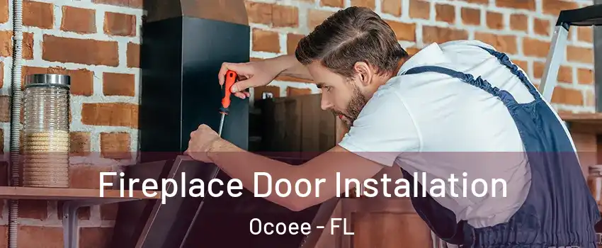  Fireplace Door Installation Ocoee - FL