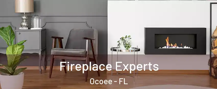  Fireplace Experts Ocoee - FL