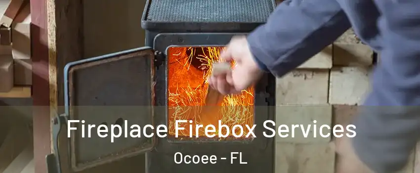  Fireplace Firebox Services Ocoee - FL